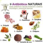 Antibioticos naturais OK