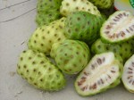 beneficios-do-fruto-noni