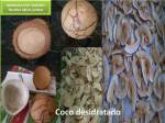 coco desitratado
