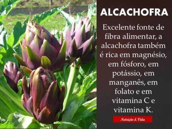 alcachofra