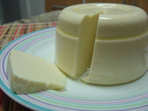 QUEIJO VEGETAL (1)