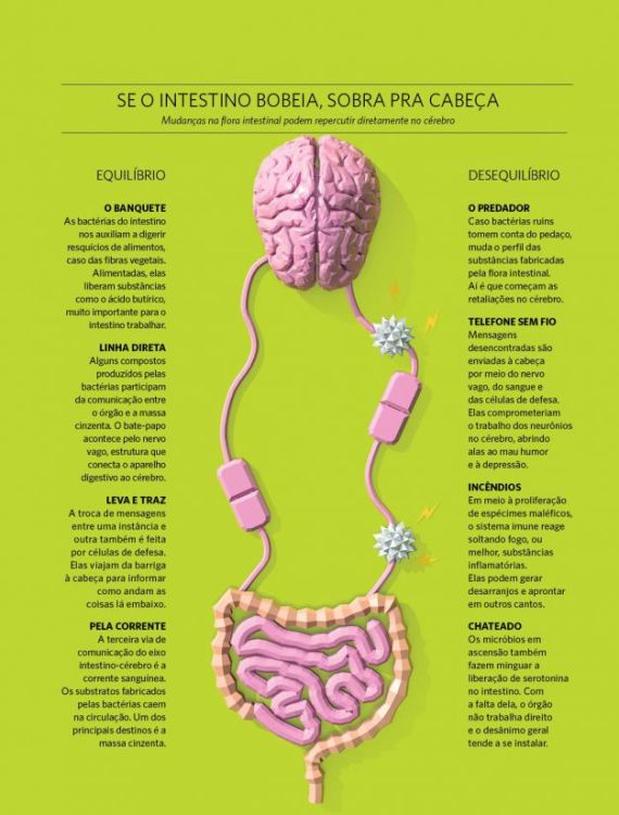 quadro-conexao-cerebro-intestino